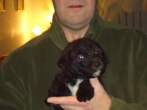post-10492-1294956197585_thumb.jpg