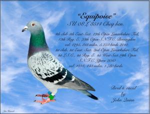 Equipoise John Quinn mon e mail.jpg