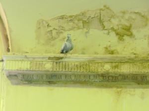 2011_0123Blackpoolphotos0019.JPG