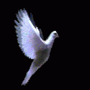 general 019.gif