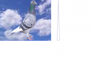 post-7544-13255293093809_thumb.png