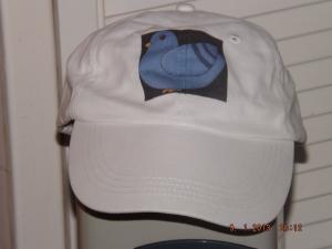 cap2 001.JPG