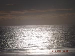 DSCF2348.JPG