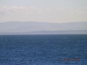 DSCF2350.JPG