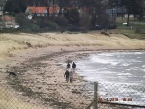 beach124,1,16 007.JPG