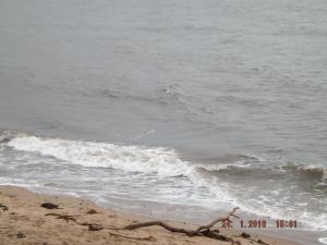 beach124,1,16 010.JPG