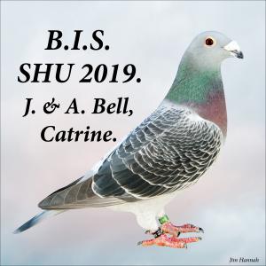 BIS SHU 2019..jpg