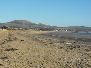 2011_0220levenbeach0001.JPG