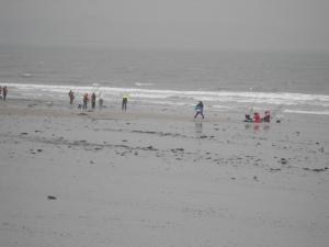 2011_0220levenbeach0005.JPG
