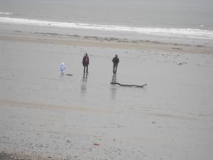 2011_0220levenbeach0006.JPG