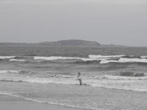 2012_0201forth2120007.JPG