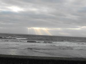 2012_0201forth2120005.JPG