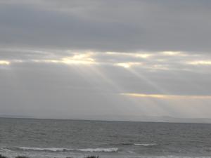 2012_0201forth2120008.JPG