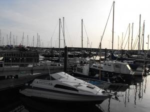 2012_0207levenanstruther0120018.JPG