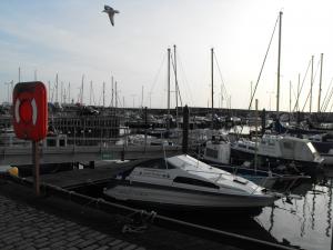 2012_0207levenanstruther0120014.JPG