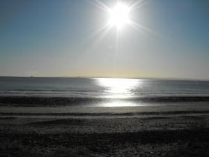 2012_0219levenbeachmarcranger0008.JPG