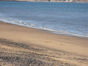 2012_0219levenbeachmarcranger0010.JPG