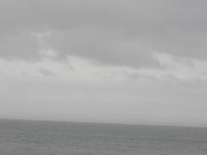 2012_02270002.JPG