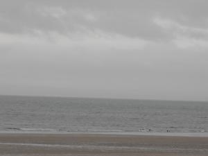 2012_02270003.JPG