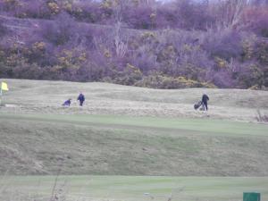 2012_0229forthgolf0006.JPG