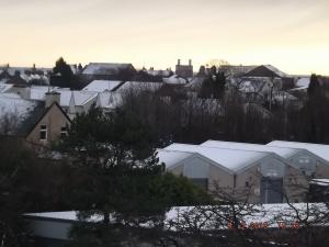 snow5.2.13 005.JPG