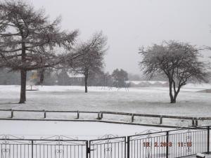 snow13.2.13 002.JPG