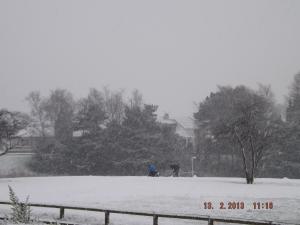 snow13.2.13 004.JPG
