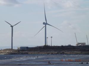 cara16.2.13 004.JPG
