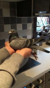 post-607-14868157946442_thumb.jpeg