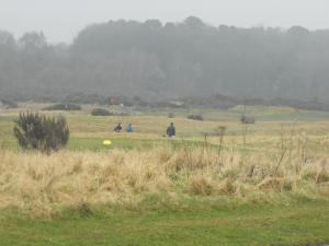 2011_0316levenbeacho30005.JPG