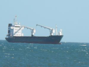 2011_0319levenbeacho30004.JPG