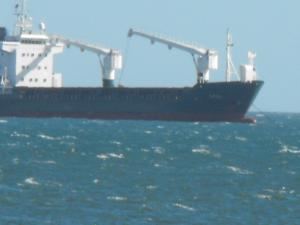2011_0319levenbeacho30005.JPG
