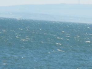 2011_0319levenbeacho30002.JPG