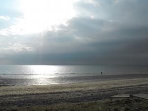 2012_0301forthmar10001.JPG