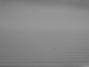 2012_0302forthmar2nd0001.JPG