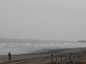 2012_0303forthmar3rd0002.JPG