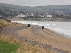 2012_03040005.JPG