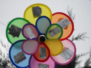 2012_03150024.JPG