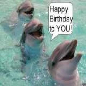 happybirthdaydolfins.jpg