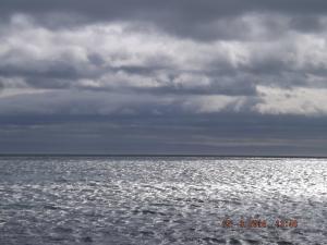 DSCF2371.JPG