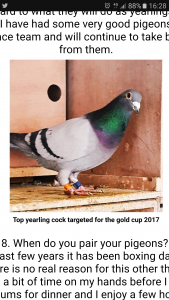 post-11043-14902906564474_thumb.png