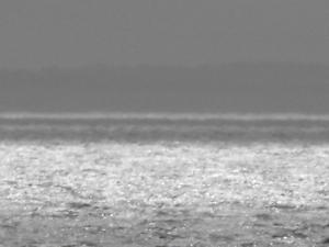 2011_0405powerstnandforthweat0002.JPG