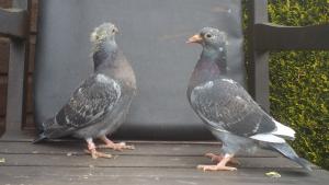 DSC00003.JPG