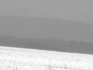 2012_04140002.JPG