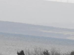 2012_04150002.JPG