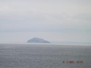 DSCF2377.JPG