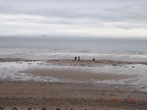 DSCF2382.JPG