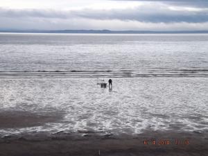 DSCF2383.JPG