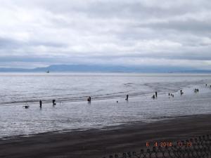 DSCF2384.JPG
