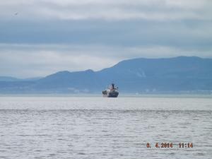 DSCF2390.JPG
